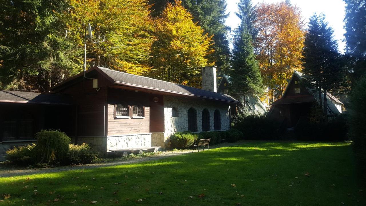 Villa Domki Brenna Lesnica Extérieur photo